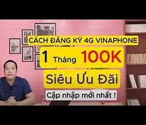 Cách Đăng Ký Mạng Vina 100K