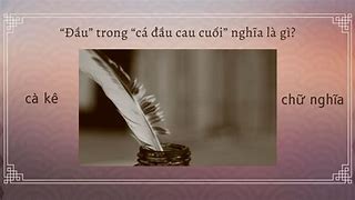 Con Đỡ Đầu Nghĩa Là Gì