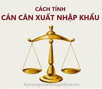 Nêu Cách Tính Cán Cân Xuất Nhập Khẩu Của Các Nước