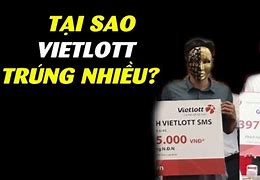 Review Tour Viettourist Lừa Đảo Không 2024 Online