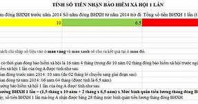 Tính Bảo Hiểm Xã Hội 1 Lần Online 2023