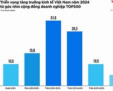 Tổng Số Doanh Nghiệp Việt Nam Hiện Nay 2024