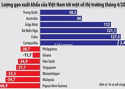 Xuất Khẩu Lúa Gạo Năm 2021 Là Bao Nhiêu Tuổi